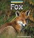 Wild Britain: Fox (Wild Britain)