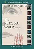 The Human Body: Muscular System (Home Use)