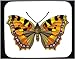Decorated Mouse Pad with butterfly, insect, small, tortoiseshell
