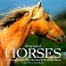 The Big Book of Horses: The Illustrated Guide to More Than 100 of the World's Best Breeds