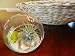 Air Plant Tillandsia with Hanging Glass Globe and Seashells Kit Great Little Houseplant By Hinterland Trading