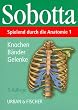 Spielend durch die Anatomie, Lernkarten, Tl.1, Knochen, B�nder, Gelenke, 148 Lernkarten