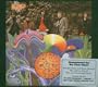 Bee Gees 1st (Dig)