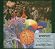 Bee Gees' 1st