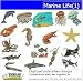 Digitized Embroidery Designs - Marine Life(1) - CD