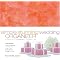 Urban Engagements guides to wedding planning