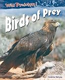 Birds of prey