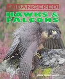 Hawks & Falcons (Endangered)