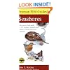 Peterson First Guide to Seashores (Peterson First Guide (R))