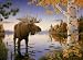 Majestic Moose 1000 Piece Jigsaw Puzzle