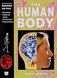 The human body