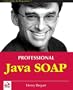 Professional Java SOAP