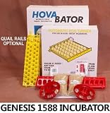 Incubator Warehouse