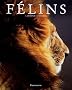 F�lins