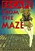 Escape from the Maze: 9 Steps to Personal Creativity
