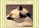 Cat Napping Boxed Notecards