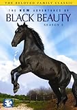 New Adventures of Black Beauty: Season 2