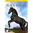 New Adventures of Black Beauty: Season 2