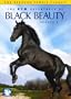 New Adventures of Black Beauty: Season Two