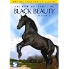 New Adventures of Black Beauty: Season Two