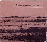 This Is A Process Of A Still Life - This Is A Process Of A Still Life
