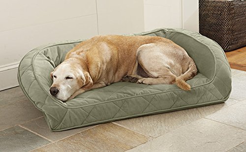 Orvis Deep Dish Dog Bed With Memory Foam Only Small Dogs Up To