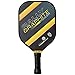 Rally Graphite Power 2.0 Pickleball Paddle (Yellow)