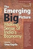 The emerging big picture : making sense of India's economy