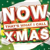 VARIOUS ARTISTS-NOW THAT'S WHAT I CALL XMAS ALBUM