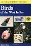 A Field Guide to Birds of the West Indies