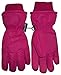 N'Ice Caps Adults Thinsulate and Waterproof Bulky Ski Glove with Ridges