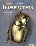 Die Wunderwelt der Insekten. Meisterhaft fotografiert von Pascal Goetgheluck - .