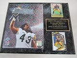 Pittsburgh Steelers Troy Polamalu 2 Card Collector Plaque Super Bowl