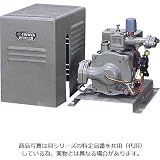 イワヤ深井戸用ポンプ JQS-601-60 [60Hz用/単相100V/出力600W] ※砲金ジェットなし・圧力タンク なし