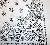 White Trainmen Bandana