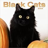 Black Cats 2004 Calendar