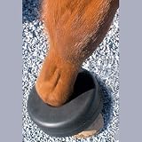Intrepid International Shoe Boil Boot - Black