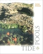 Tide Pools