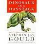 Dinosaur in a Haystack