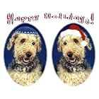 Pet Star Interfaith Cards - Airedales by  Pet Star Photography