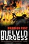 Burning Issy (Puffin Teenage Fiction)