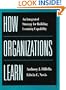 How Organizations Learn: An Integrated Strategy for Building Learning Capability (Jossey-Bass Business & Management)