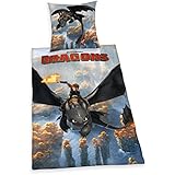 Herding 442656050412 Bettwäsche Dragons, Kopfkissenbezug 80 x 80 cm und Bettbezug 135 x 200 cm, 100 % Baumwolle, Renforce