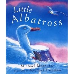 Little Albatross