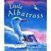 Little Albatross