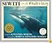 Siwiti: A Whale's Story (Orca Classic)