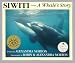 Siwiti: A Whale's Story (Orca Classic)
