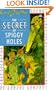 The Secret of spiggy Holes