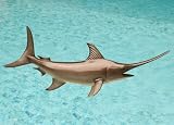 Taxidermy Quality Fiberglass 24 Swordfish Wall Mount