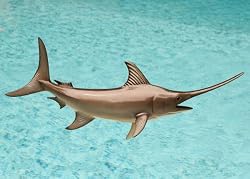 Taxidermy Quality Fiberglass 24" Swordfish Wall Mount